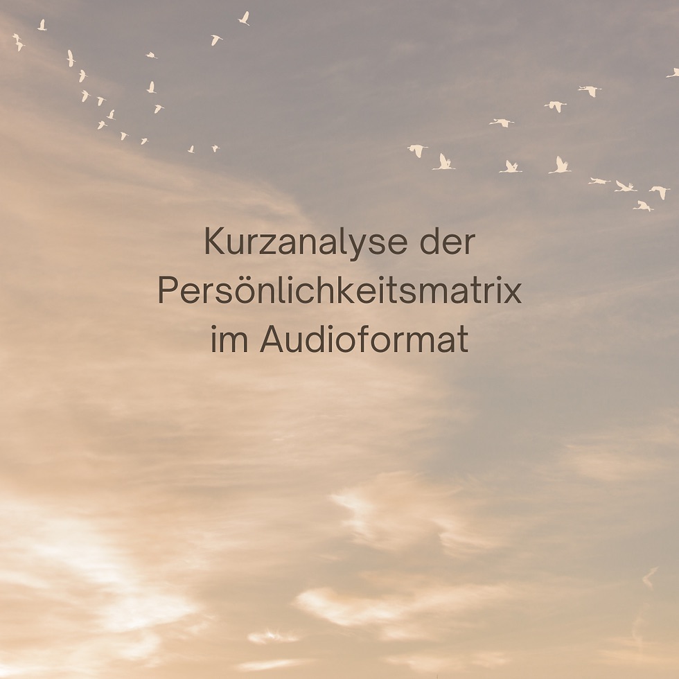 Kurzanalyse im Audioformat